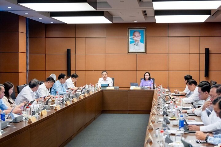 Quang cảnh thảo luận tại Tổ.