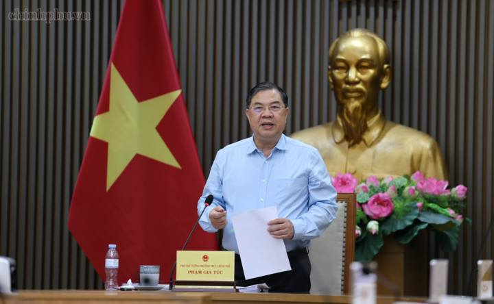 Phó Thủ tướng Thường trực Phạm Gia Túc phát biểu tại cuộc họp tháo gỡ khó khăn, vướng mắc cho Dự án Nhà máy nhiệt điện LNG Công Thanh. Ảnh: chinhphu.vn/Phương Nguyên