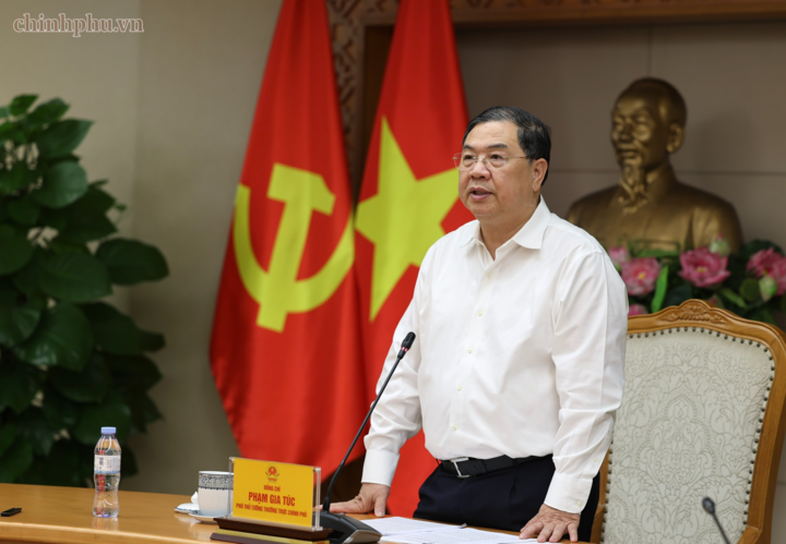 Phó Thủ tướng Thường trực Phạm Gia Túc phát biểu chỉ đạo tại cuộc họp. Ảnh: chinhphu.vn/Phương Nguyên