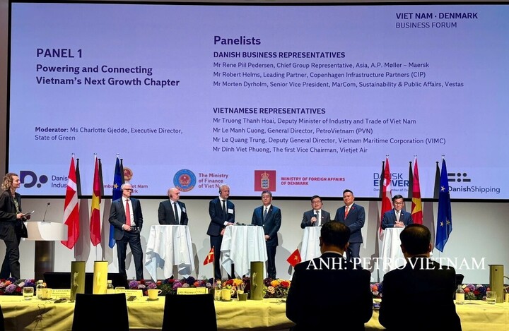 Ông Lê Mạnh Cường, Tổng Giám đốc PETROVIETNAM phát biểu tại phiên tọa đàm trong khuôn khổ Diễn đàn Doanh nghiệp Việt Nam – Đan Mạch. Ảnh: PETROVIETNAM