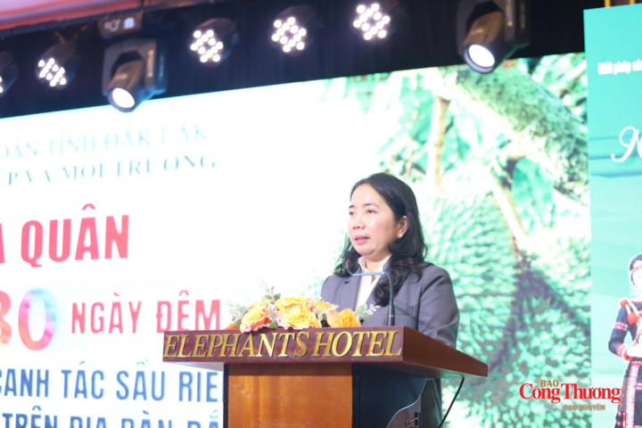 Bà Đặng Thị Thủy chỉ ra những bất cập của ngành hàng sầu riêng.