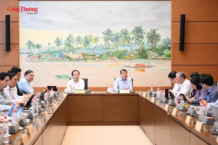 Toàn cảnh phiên thảo luận tại Tổ 3.