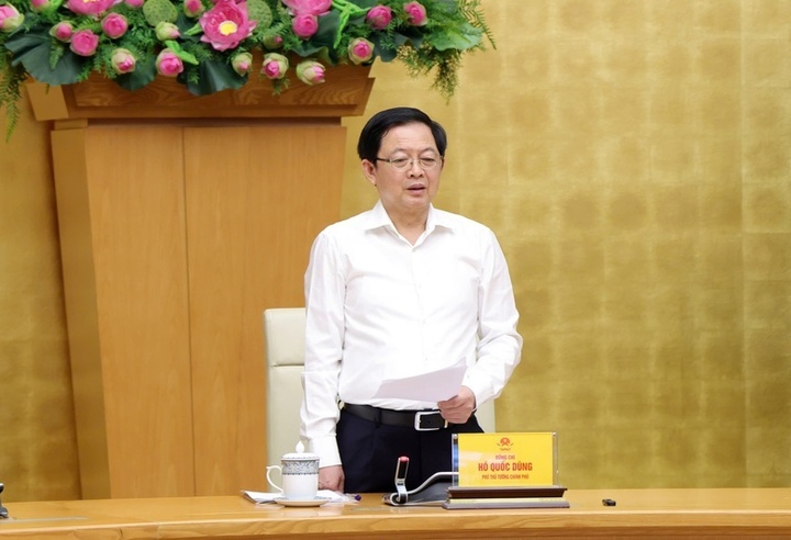 Phó Thủ tướng Hồ Quốc Dũng phát biểu chỉ đạo hội nghị.