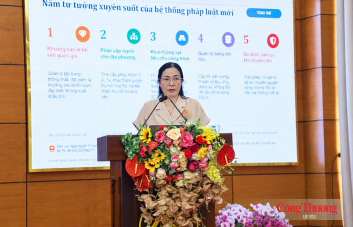Bà Phạm Thị Thanh, Phó Trưởng phòng Pháp chế và Kiểm tra, Cục Địa chất và Khoáng sản Việt Nam phát biểu.