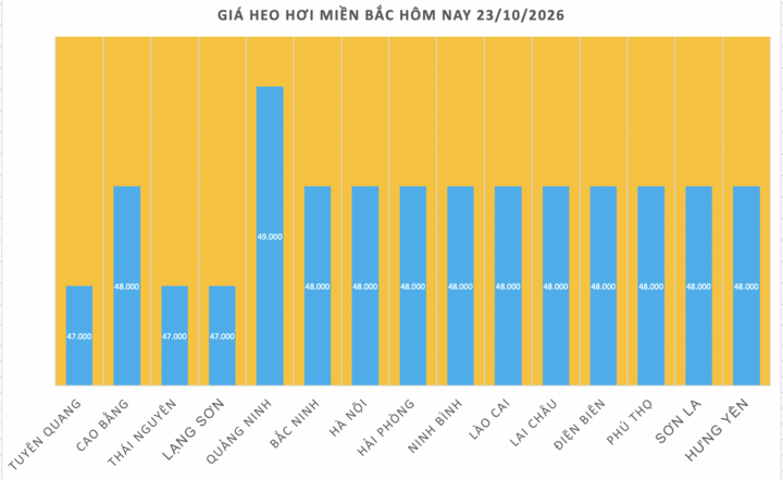 Giá heo hơi hôm nay 23/10/2026: Trượt dài đà giảm diện rộng - 1