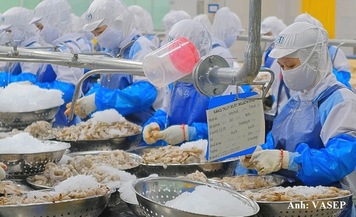 Lũy kế 9 tháng đầu năm 2026, kim ngạch xuất khẩu tôm đạt 3,7 tỷ USD, tăng 11% so với cùng kỳ.