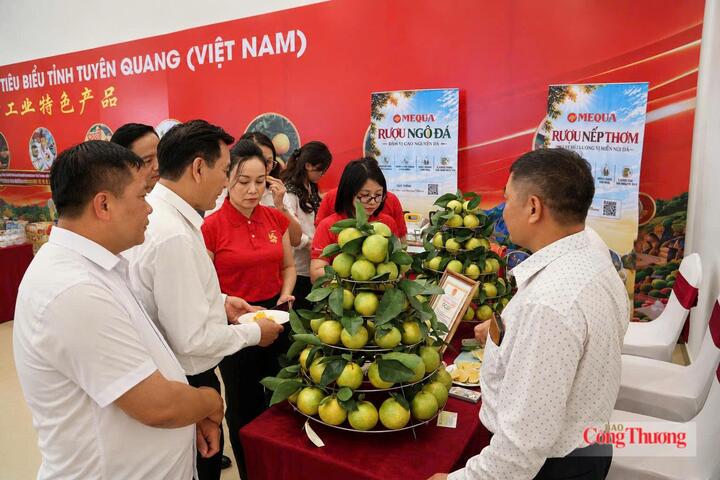 Đại biểu tham quan khu vực trưng bày, tìm hiểu các sản phẩm đặc trưng của tỉnh Tuyên Quang.