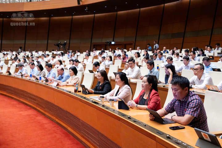 Các đại biểu tham dự phiên họp