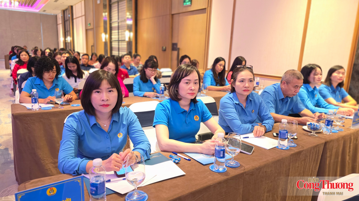 Các đại biểu tham dự hội nghị.