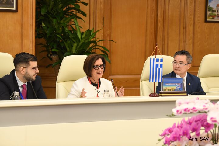 Các đại biểu dự hội nghị.