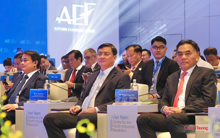 TP. Hồ Chí Mi h kết nối FDI, công nghệ và dòng vốn cho tăng trưởng dài hạn - 1