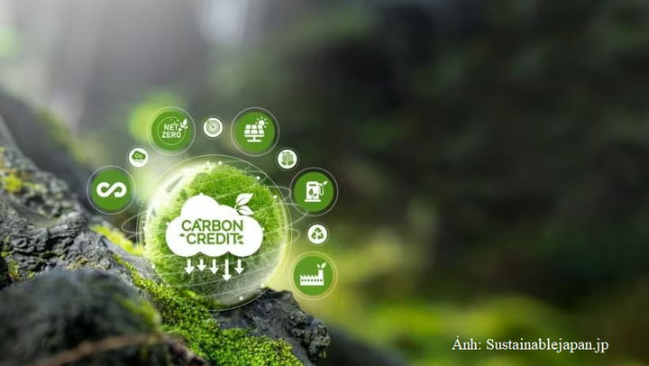 Nghị định số 396/2026/NĐ-CP bổ sung quy định về đăng ký tài khoản tín chỉ carbon, phân định rõ trách nhiệm của cơ quan quản lý và tạo thuận lợi cho tổ chức tham gia.