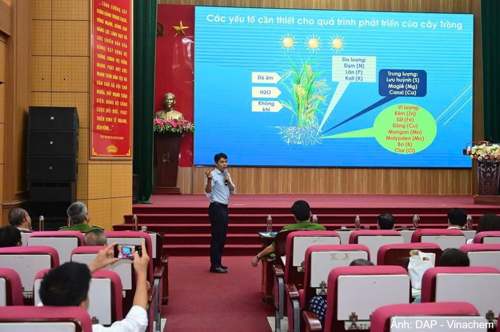 Công ty Cổ phần DAP - Vinachem hướng dẫn nhận diện phân biệt phân bón.