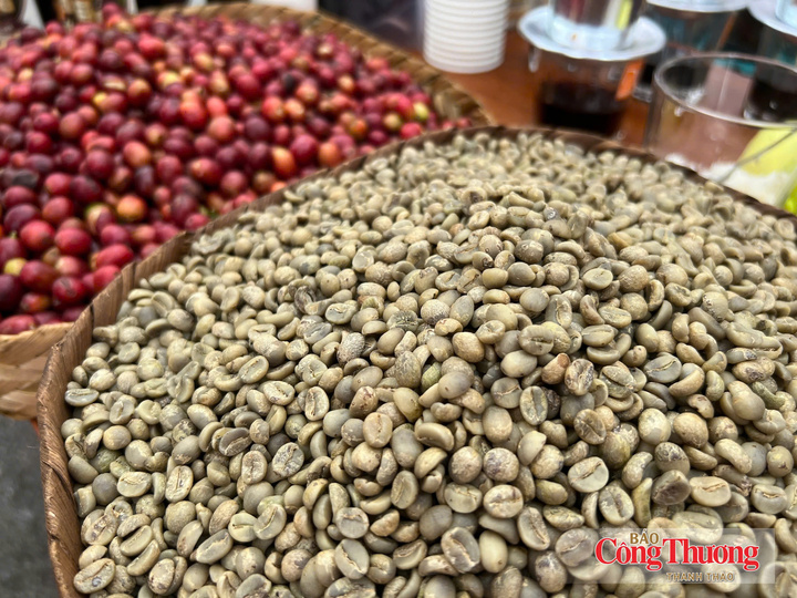 Đưa cà phê Arabica Sơn La vươn xa bằng chất lượng - 1