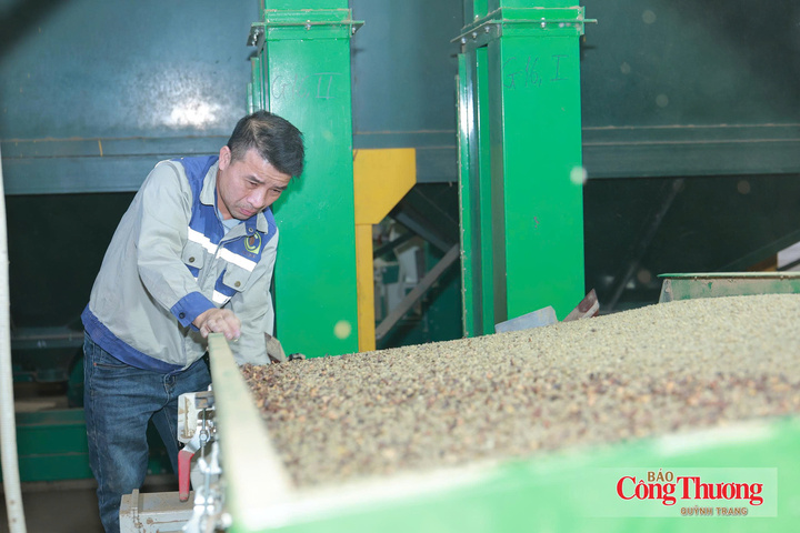 Chế biến sâu giúp nâng cao giá trị cho cà phê Sơn La