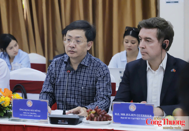 Ông Đặng Hải Dũng, Phó Cục trưởng Cục Năng lượng - Dầu khí trao đổi tại buổi làm việc