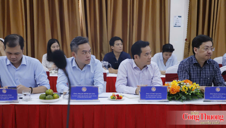 Đại diện lãnh đạo các cục, vụ, ban ngành tại buổi làm việc