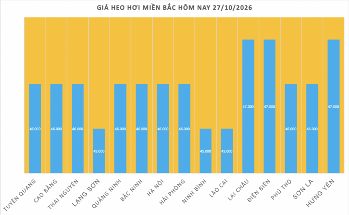 Giá heo hơi hôm nay 27/10/2026: Tiếp đà lao dốc, thiết lập đáy mới - 1