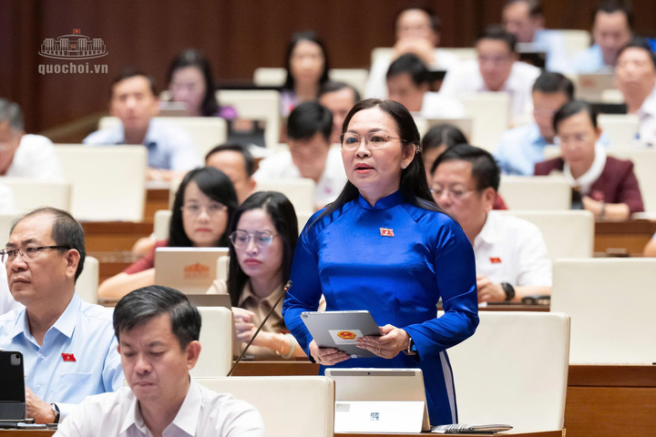 Đại biểu Lý Anh Thư, Đại biểu Quốc hội tỉnh An Giang