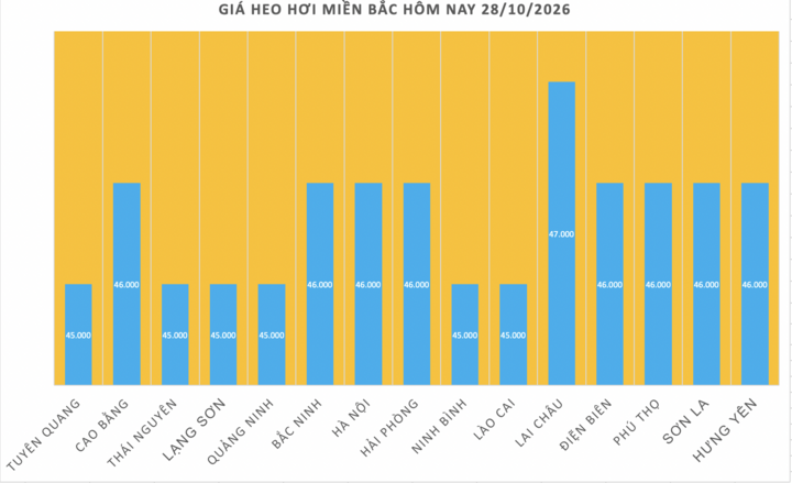 Giá heo hơi hôm nay 28/10/2026: Nối đà giảm, cao nhất 48.000 đồng/kg - 1