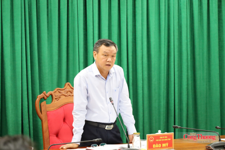 Ông Đào Mỹ yêu cầu rà soát, đánh giá khả năng đáp ứng của hệ thống điện trên địa bàn để tháo gỡ.
