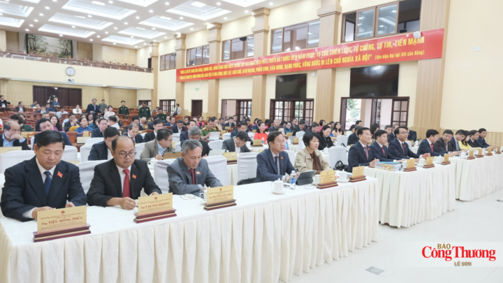 Các đại biểu tham dự kỳ họp.