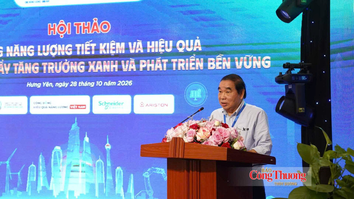 Ông Nguyễn Đình Hiệp, Chủ tịch Hội Khoa học và Công nghệ sử dụng năng lượng tiết kiệm và hiệu quả Việt Nam (VECEA).