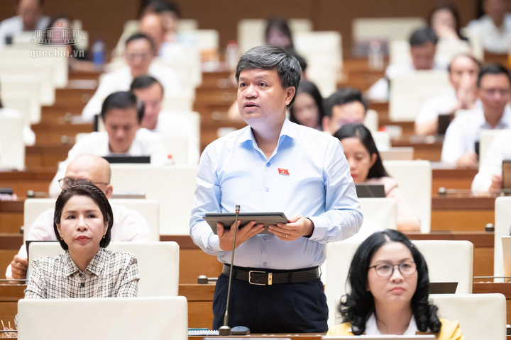 Đại biểu Tạ Đình Thi, Đại biểu Quốc hội TP Hà Nội