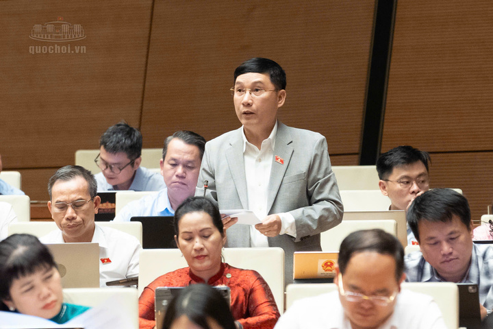 Đại biểu Lê Hoàng Anh, Đại biểu Quốc hội tỉnh Gia Lai