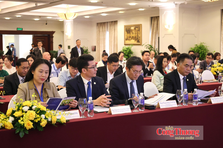 Các đại biểu tham dự hội thảo
