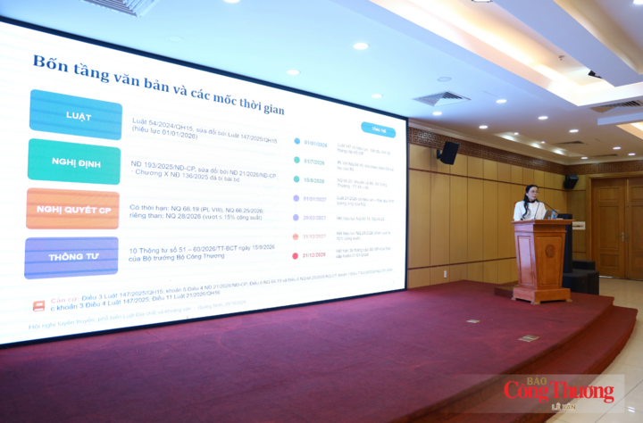 Bà Phạm Thị Thanh, Phó Trưởng phòng Pháp chế và Kiểm tra, Cục Địa chất và Khoáng sản Việt Nam phát biểu tại hội nghị.