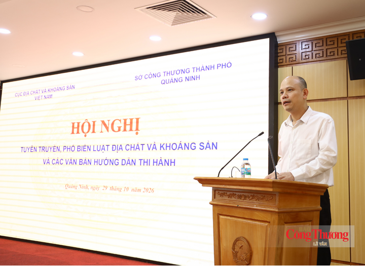 Phó Cục trưởng Cục Địa chất và Khoáng sản Việt Nam phát biểu tại hội nghị.