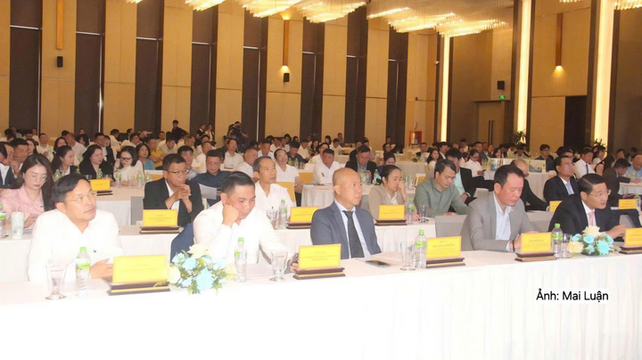Các đại biểu tham dự hội nghị.