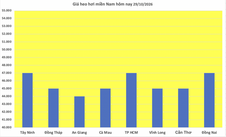 Giá heo hơi hôm nay 29/10/2026: Giảm đồng loạt, thiết lập đáy giá mới - 3