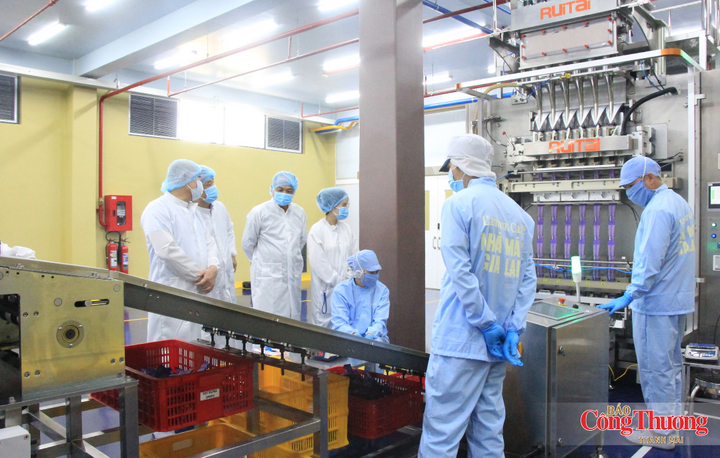 10 tháng năm 2026, chỉ số sản xuất công nghiệp ước tăng 8,61% so với cùng kỳ.