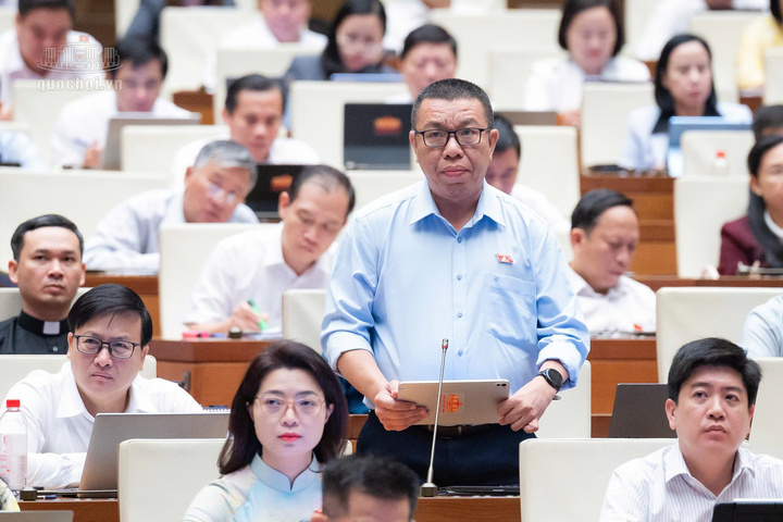 Đại biểu Trần Mạnh Huy - đoàn thành phố Đà Nẵng.