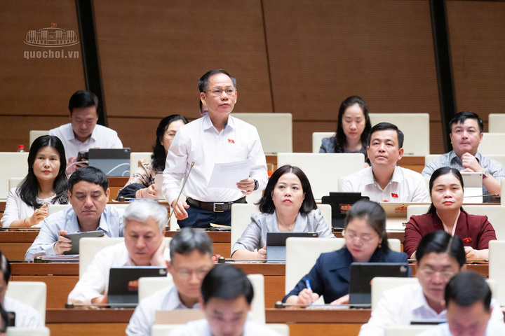 Đại biểu Trần Đình Gia (đoàn tỉnh Hà Tĩnh).