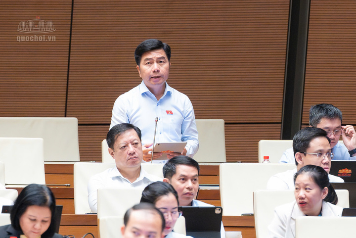 Đại biểu Võ Hoàng Ngân (đoàn Thành phố Hồ Chí Minh).