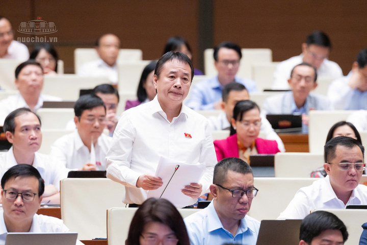 Đại biểu Phạm Nam Tiến, Đại biểu Quốc hội tỉnh Lâm Đồng