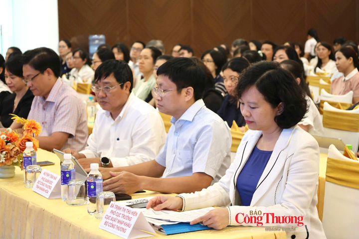 Các đại biểu tham dự hội nghị