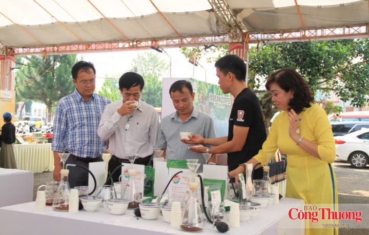 Trải nghiệm quy trình rang xay, pha chế và thưởng thức đặc sản cà phê.