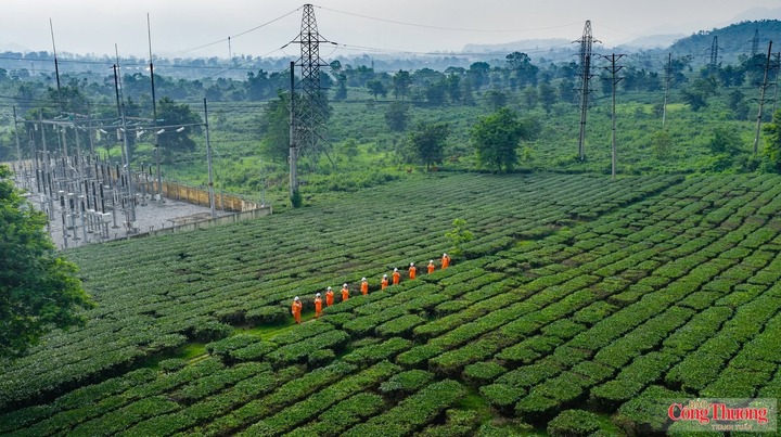 Phát triển đồng bộ nguồn và lưới điện là điều kiện quan trọng để đáp ứng nhu cầu sản xuất, kinh doanh và sinh hoạt.
