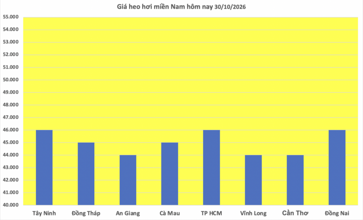 Giá heo hơi hôm nay 30/10/2026: Giảm liên tiếp, cao nhất 46.000 đồng - 3