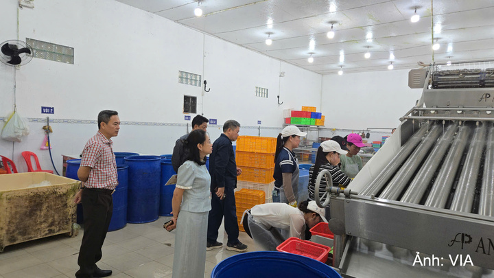 Đoàn công tác do Phó Cục trưởng Cục Công nghiệp Đỗ Thị Minh Trâm làm Trưởng đoàn đã kiểm tra tình hình thực hiện các đề án khuyến công quốc gia tại tỉnh Cà Mau.