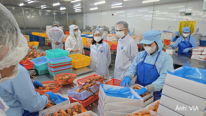 Đoàn công tác của Cục Công nghiệp đề nghị các đơn vị liên quan đẩy nhanh tiến độ hoàn thiện hồ sơ, thủ tục hỗ trợ kinh phí, tăng cường phối hợp giải quyết các vướng mắc phát sinh, tạo thuận lợi cho các cơ sở thụ hưởng.