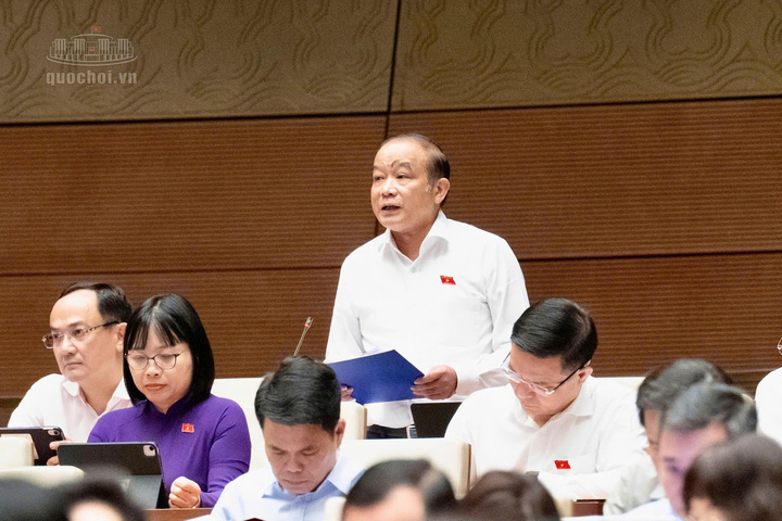 Đại biểu Lã Thanh Tân (Đoàn Đại biểu Quốc hội TP. Hải Phòng).