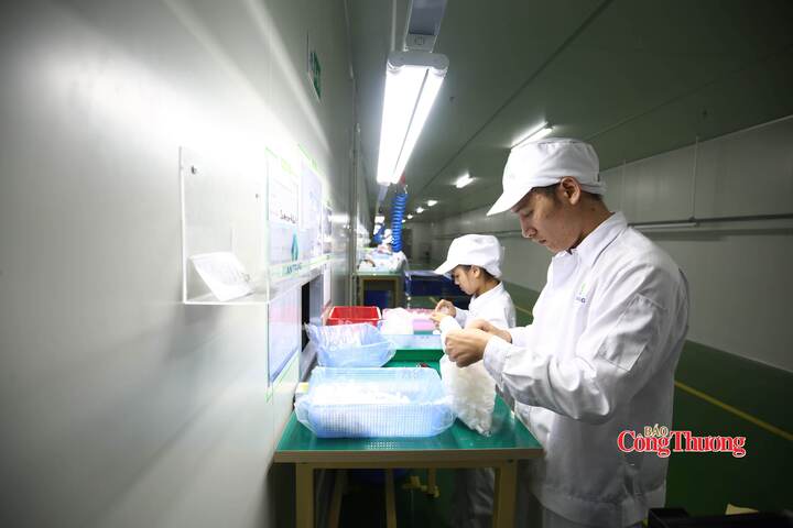 Tiếp tục cho phép giao kết hợp đồng lao động điện tử đến hết năm 2026. Ảnh: Nam Nguyễn