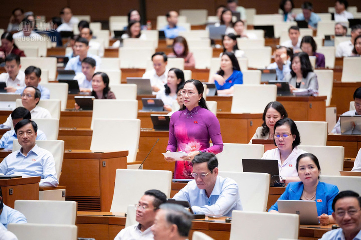 Đại biểu Nguyễn Thị Yến Nhi, Đoàn đại biểu Quốc hội tỉnh Vĩnh Long