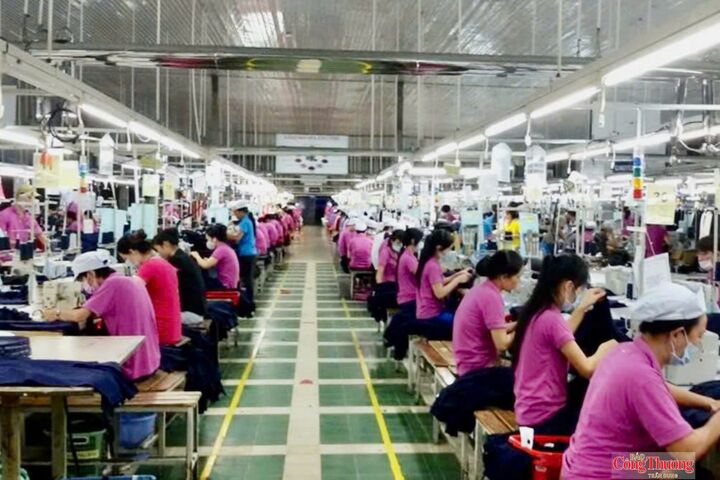 Thành phố đề nghị ưu tiên vốn tín dụng cho các lĩnh vực trọng điểm, đồng thời tháo gỡ vướng mắc về đất đai, hỗ trợ doanh nghiệp phát triển sản xuất, kinh doanh.