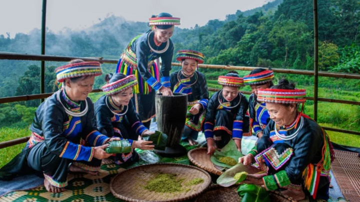 Tại nhiều vùng chè truyền thống, phụ nữ đóng vai trò là "linh hồn" và nhân tố chủ chốt trong toàn bộ chuỗi giá trị của cây chè.